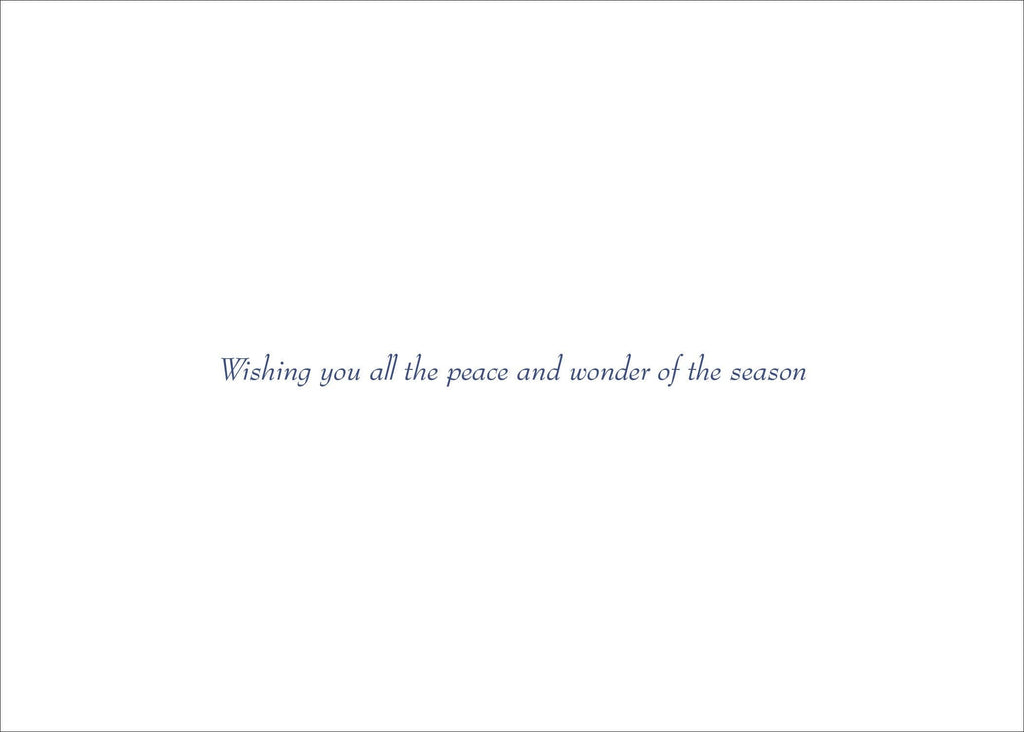 Starry Night Deluxe Boxed Holiday Cards