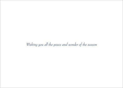 Starry Night Deluxe Boxed Holiday Cards