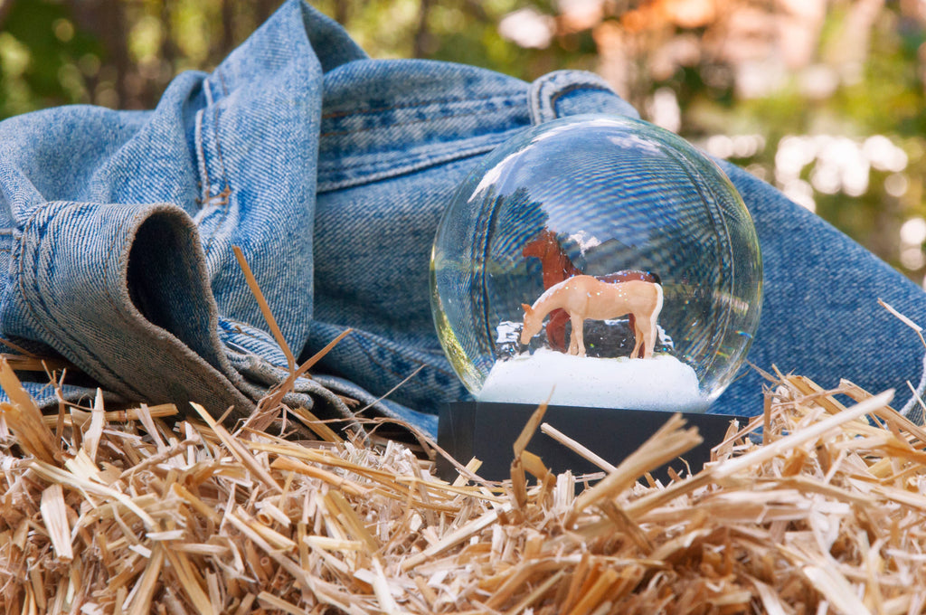 Horses Snow Globe