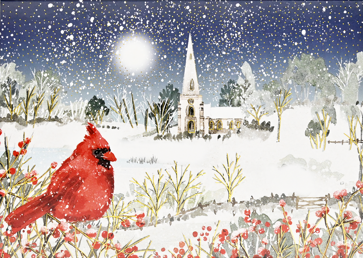 Cardinal in Moonlight Deluxe Boxed Holiday Cards