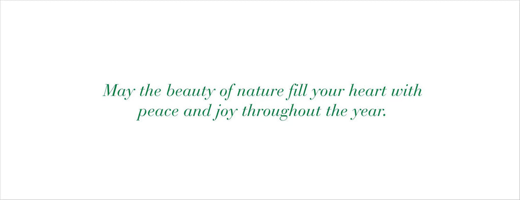 Winter Forest Friends Panoramic Boxed Holiday Cards