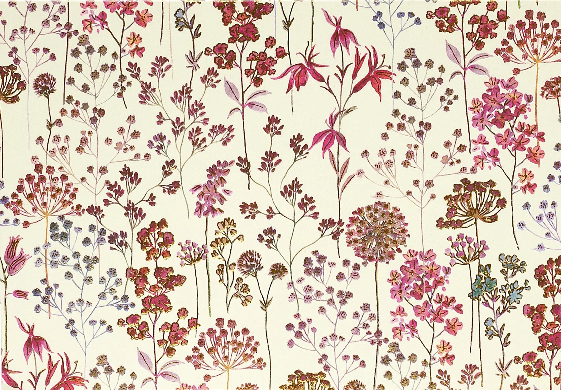 Wildflower Meadow Boxed Note Cards