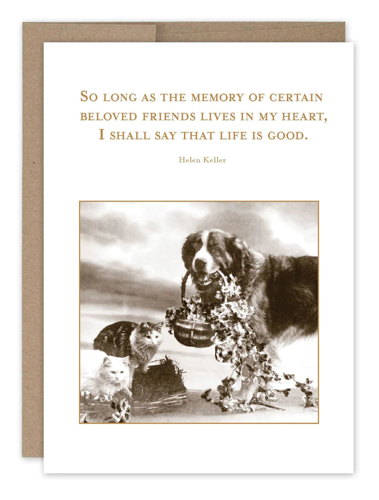 Shannon Martin beloved pet sympathy card