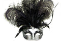Black Silver Venetian Feather Mask