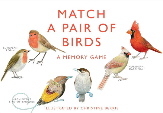 Chronical Books: A Memory Game: Match a Pair of Birds