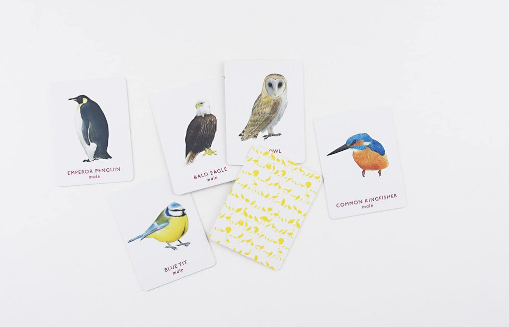 Chronical Books: A Memory Game: Match a Pair of Birds sample