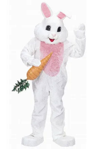 Easter Bunny Costume Rental for Holiday, School & Mascot Events