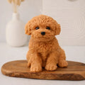 Golden Doodle Puppy 