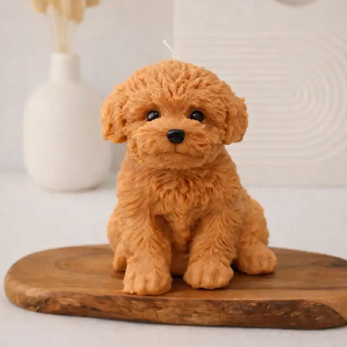 Golden Doodle Puppy 