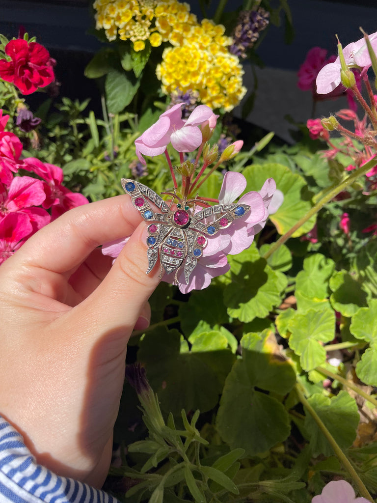 Victorian  12kt Ruby,Sapphire and Diamond Butterfly Pin
