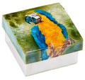 Parrot capiz box