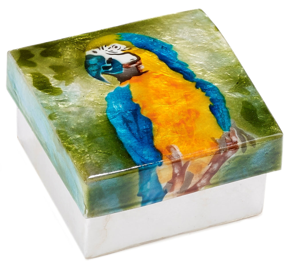 Parrot capiz box
