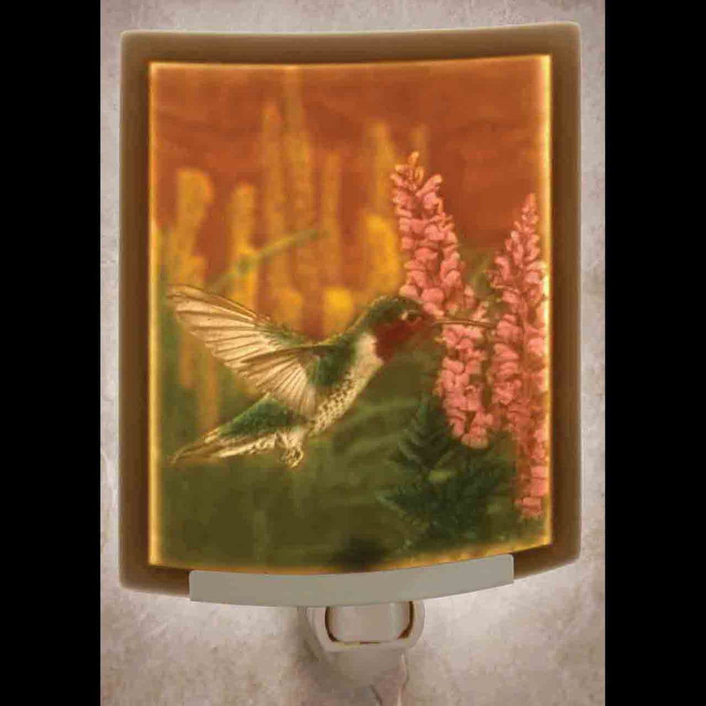 colored hummingbird nightlight