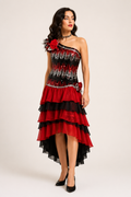 Red, Black & Silver Flamenco Dress, Spanish Dancer Costume Rental