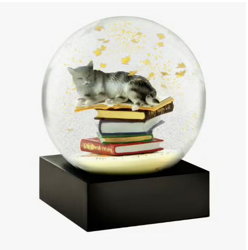 Cool Snowglobes Cat on Books Snow Globe