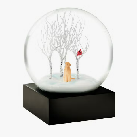 Cool Snow Globes Lab in the Woods Snow globe
