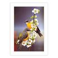 Two Birds Gift Enclosure Card