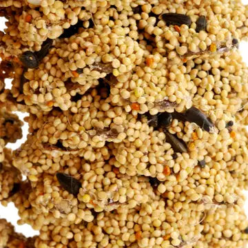 Giant Pine Cone Edible Bird Treat