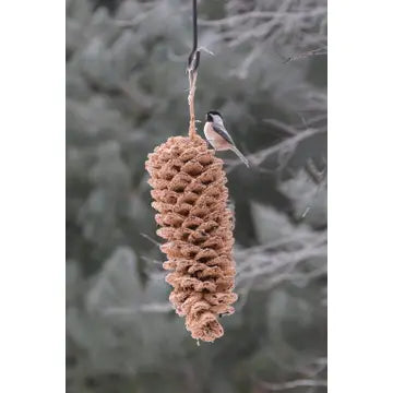 Giant Pine Cone Edible Bird Treat