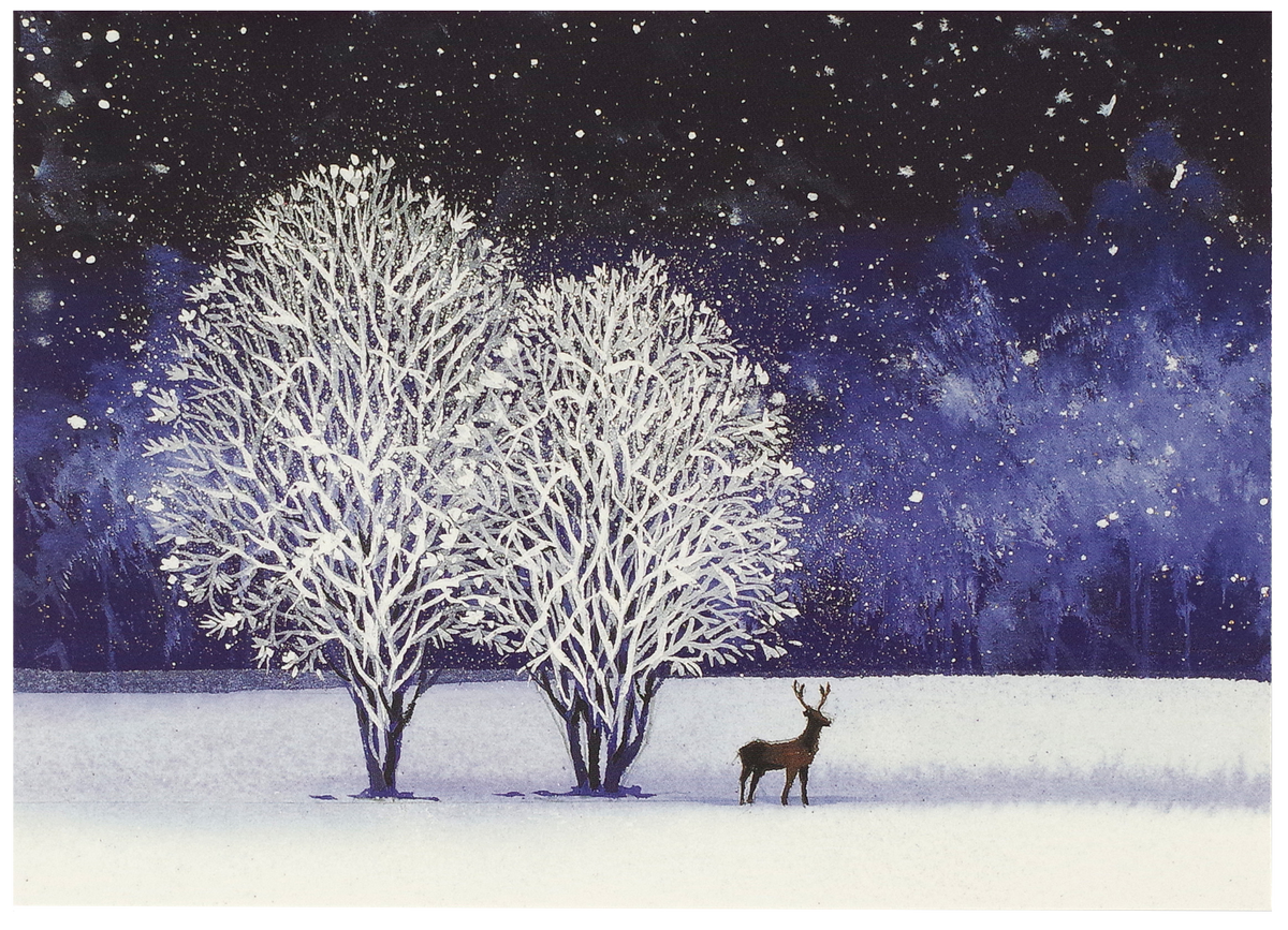 Starry Night Deluxe Boxed Holiday Cards