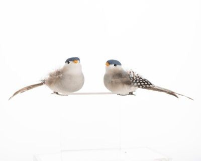 Bird clip on ornaments