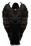 Evil Queen Wings