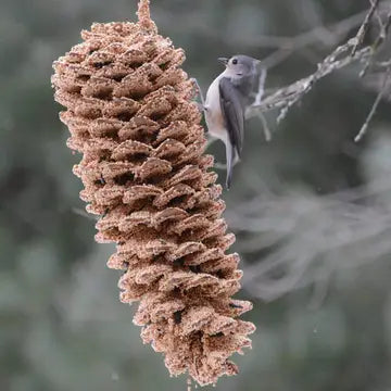 Giant Pine Cone Edible Bird Treat
