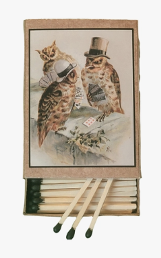 Owls Playing Poker Matches