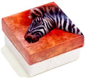 Zebra capiz box