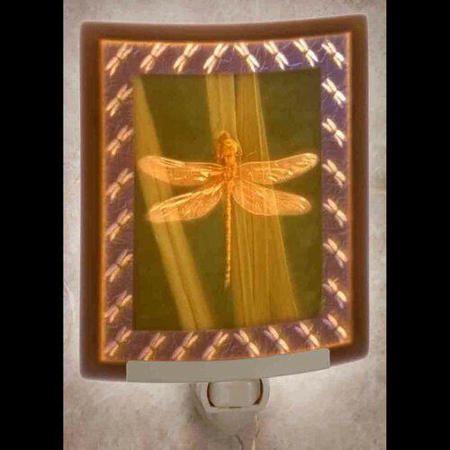 Colored Dragonfly nightlight