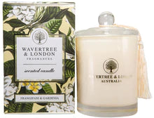 wavertree and london gardenia candle greenwich connecticut gift shop 
